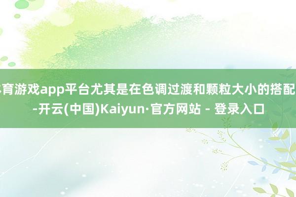 体育游戏app平台尤其是在色调过渡和颗粒大小的搭配上-开云(中国)Kaiyun·官方网站 - 登录入口