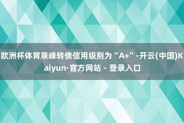 欧洲杯体育泉峰转债信用级别为“A+”-开云(中国)Kaiyun·官方网站 - 登录入口
